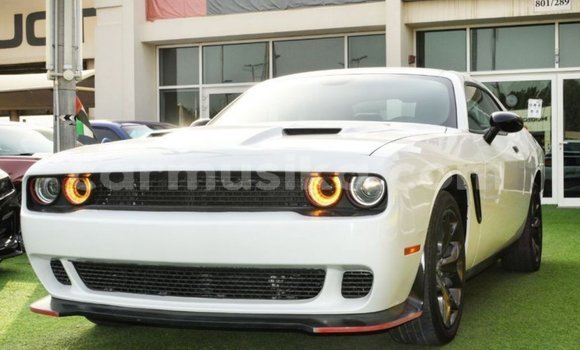 Nunua Imported Dodge Challenger Nyeupe Gari ndani ya Import - Dubai nchini Harare