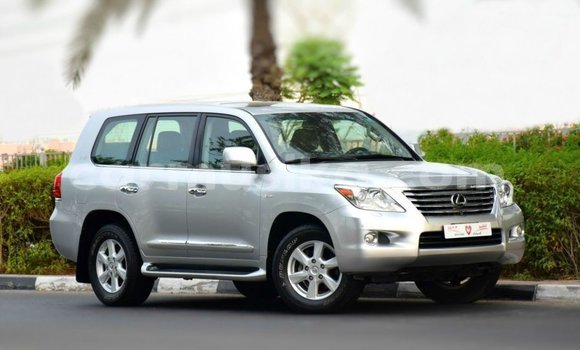 Nunua Imported Lexus LX Nyingine Gari ndani ya Import - Dubai nchini Harare