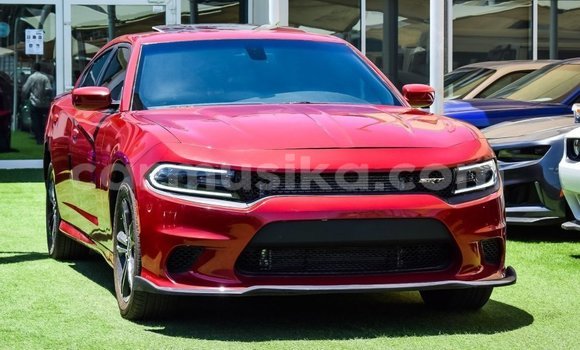 Nunua Imported Dodge Charger Nyekundu Gari ndani ya Import - Dubai nchini Harare