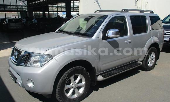 Acheter Occasion Voiture Nissan Pathfinder Gris à Bulawayo, Bulawayo Acheter Occasion Voiture Nissan Pathfinder Gris à Bulawayo, Bulawayo