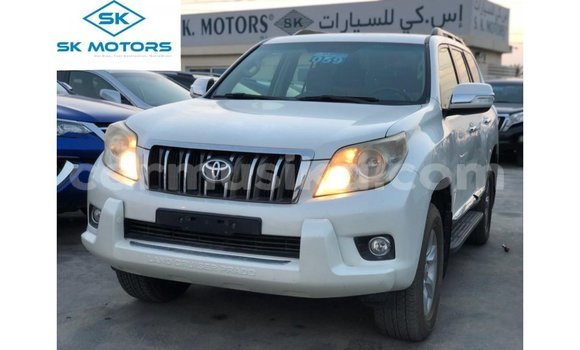 Buy Import Toyota Prado White Car in Import - Dubai in Harare
