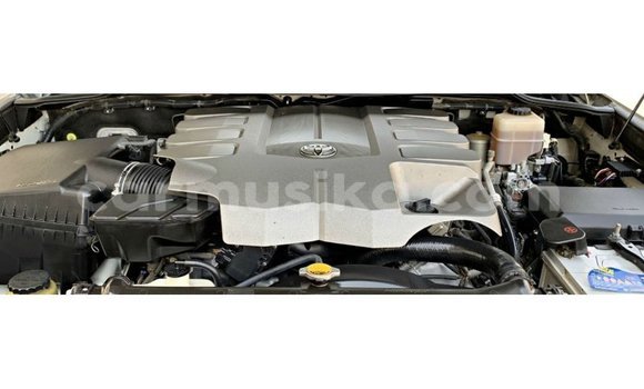 Acheter Import Voiture Toyota Land Cruiser Blanc à Import - Dubai, Harare Acheter Import Voiture Toyota Land Cruiser Blanc à Import - Dubai, Harare