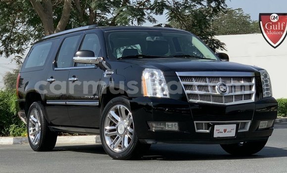 Buy Import Cadillac Escalade Black Car in Import - Dubai in Harare