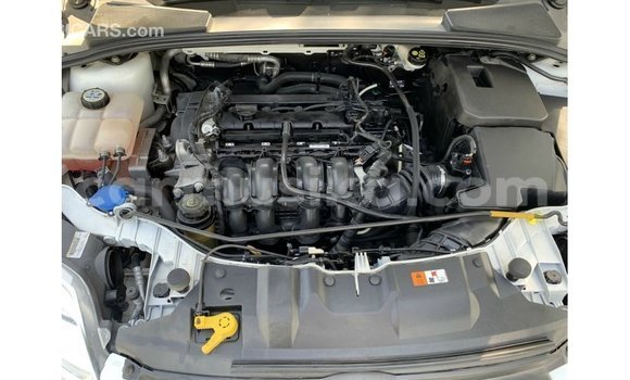 Buy Import Ford Focus White Car in Import - Dubai in Harare Buy Import Ford Focus White Car in Import - Dubai in Harare