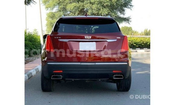 Tenga Imported Cadillac XT5 Tsvuku Mota in Import - Dubai in Harare Tenga Imported Cadillac XT5 Tsvuku Mota in Import - Dubai in Harare
