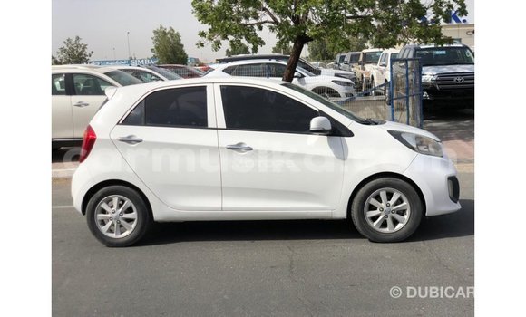 Buy Import Kia Picanto White Car in Import - Dubai in Harare Buy Import Kia Picanto White Car in Import - Dubai in Harare