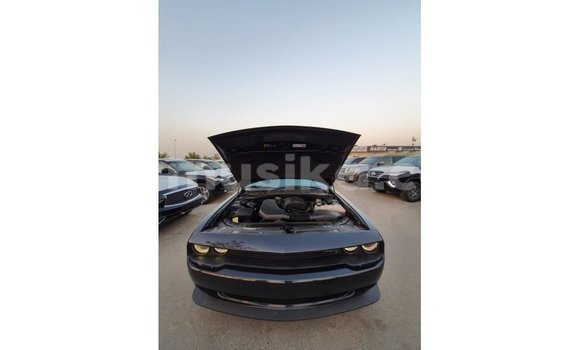 Buy Import Dodge Challenger Black Car in Import - Dubai in Harare Buy Import Dodge Challenger Black Car in Import - Dubai in Harare