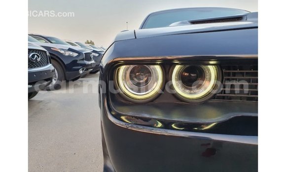 Buy Import Dodge Challenger Black Car in Import - Dubai in Harare Buy Import Dodge Challenger Black Car in Import - Dubai in Harare