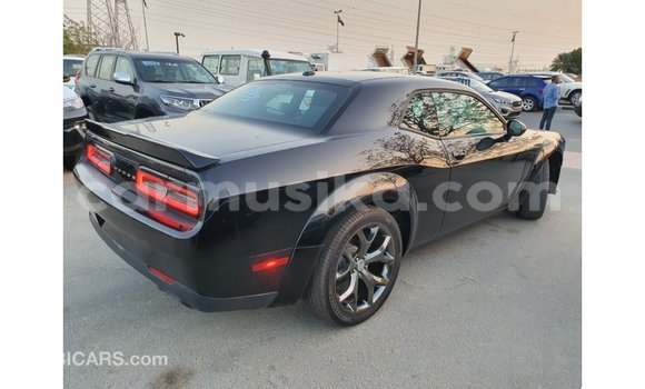 Buy Import Dodge Challenger Black Car in Import - Dubai in Harare Buy Import Dodge Challenger Black Car in Import - Dubai in Harare