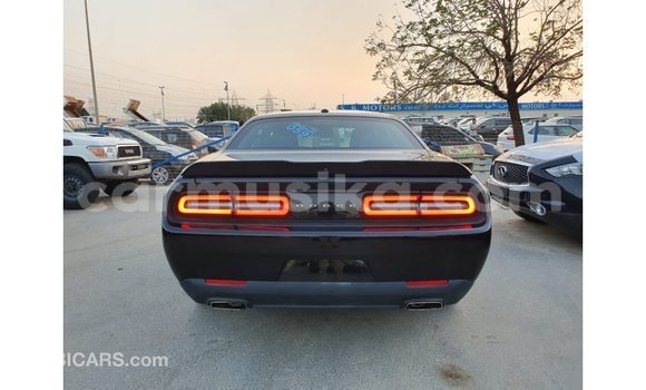 Buy Import Dodge Challenger Black Car in Import - Dubai in Harare Buy Import Dodge Challenger Black Car in Import - Dubai in Harare