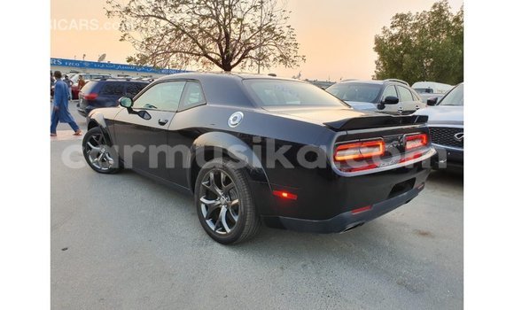 Buy Import Dodge Challenger Black Car in Import - Dubai in Harare Buy Import Dodge Challenger Black Car in Import - Dubai in Harare