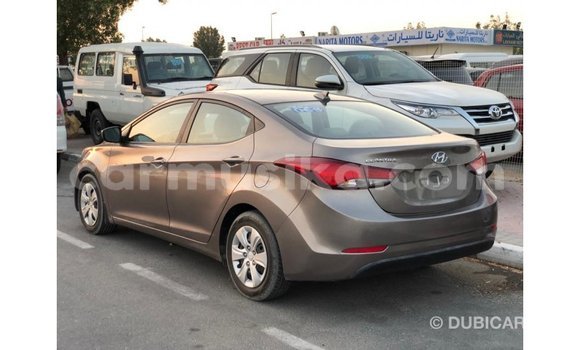Buy Import Hyundai Elantra Brown Car in Import - Dubai in Harare Buy Import Hyundai Elantra Brown Car in Import - Dubai in Harare