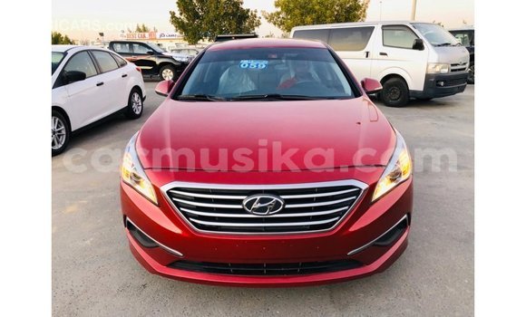Buy Import Hyundai Sonata Red Car in Import - Dubai in Harare Buy Import Hyundai Sonata Red Car in Import - Dubai in Harare