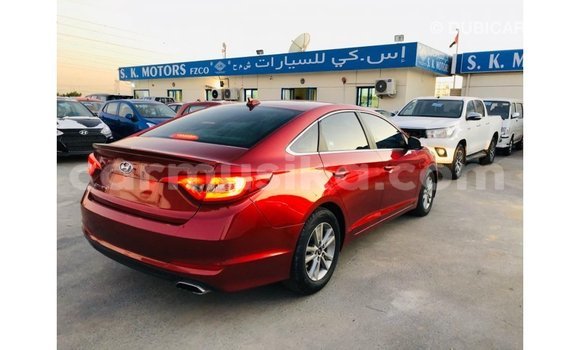 Buy Import Hyundai Sonata Red Car in Import - Dubai in Harare Buy Import Hyundai Sonata Red Car in Import - Dubai in Harare