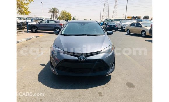 Buy Import Toyota Corolla Other Car in Import - Dubai in Harare Buy Import Toyota Corolla Other Car in Import - Dubai in Harare