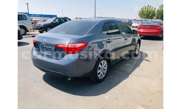 Buy Import Toyota Corolla Other Car in Import - Dubai in Harare Buy Import Toyota Corolla Other Car in Import - Dubai in Harare