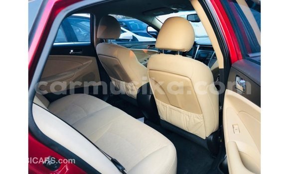 Buy Import Hyundai Sonata Red Car in Import - Dubai in Harare Buy Import Hyundai Sonata Red Car in Import - Dubai in Harare