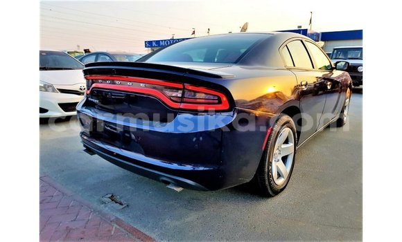 Buy Import Dodge Charger Blue Car in Import - Dubai in Harare Buy Import Dodge Charger Blue Car in Import - Dubai in Harare