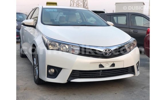 Buy Import Toyota Corolla White Car in Import - Dubai in Harare Buy Import Toyota Corolla White Car in Import - Dubai in Harare