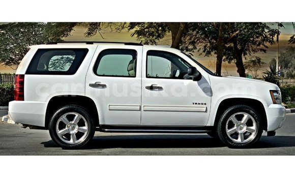 Acheter Import Voiture Chevrolet Tahoe Blanc à Import - Dubai, Harare Acheter Import Voiture Chevrolet Tahoe Blanc à Import - Dubai, Harare