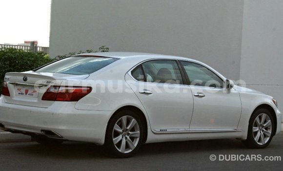 Buy Import Lexus LS White Car in Import - Dubai in Harare Buy Import Lexus LS White Car in Import - Dubai in Harare