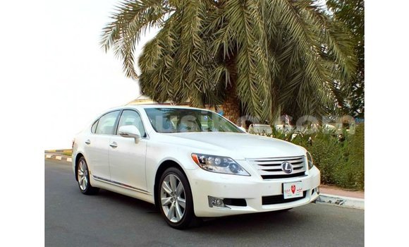 Tenga Imported Lexus LS Chena Mota in Import - Dubai in Harare