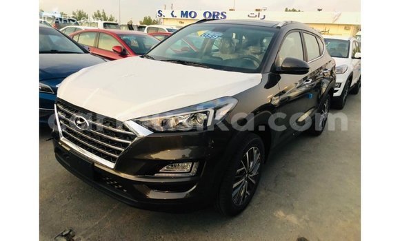 Buy Import Hyundai Tucson Brown Car in Import - Dubai in Harare Buy Import Hyundai Tucson Brown Car in Import - Dubai in Harare