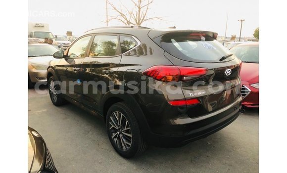 Buy Import Hyundai Tucson Brown Car in Import - Dubai in Harare Buy Import Hyundai Tucson Brown Car in Import - Dubai in Harare
