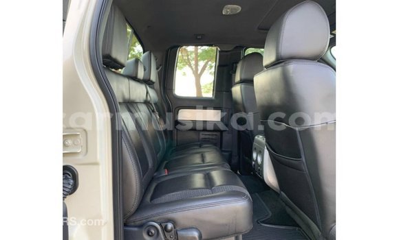 Buy Import Ford Club Wagon Beige Car in Import - Dubai in Harare Buy Import Ford Club Wagon Beige Car in Import - Dubai in Harare