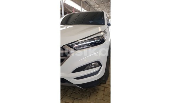 Buy Import Hyundai Tucson White Car in Import - Dubai in Harare Buy Import Hyundai Tucson White Car in Import - Dubai in Harare