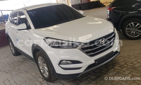 Buy Import Hyundai Tucson White Car in Import - Dubai in Harare Buy Import Hyundai Tucson White Car in Import - Dubai in Harare