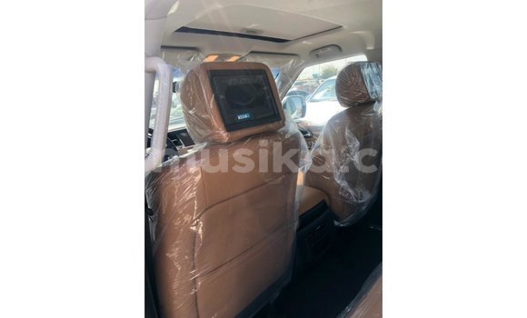 Buy Import Nissan Patrol White Car in Import - Dubai in Harare Buy Import Nissan Patrol White Car in Import - Dubai in Harare