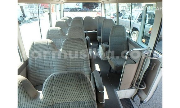 Tenga Imported Toyota Coaster Chena Mota in Import - Dubai in Harare Tenga Imported Toyota Coaster Chena Mota in Import - Dubai in Harare