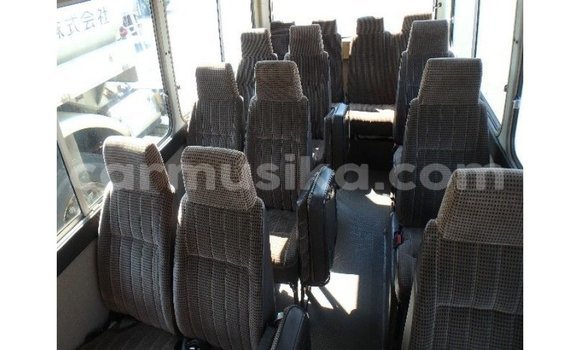 Tenga Imported Toyota Coaster Chena Mota in Import - Dubai in Harare Tenga Imported Toyota Coaster Chena Mota in Import - Dubai in Harare