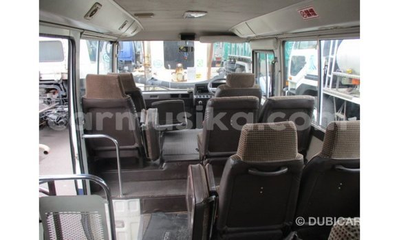 Tenga Imported Toyota Coaster Chena Mota in Import - Dubai in Harare Tenga Imported Toyota Coaster Chena Mota in Import - Dubai in Harare