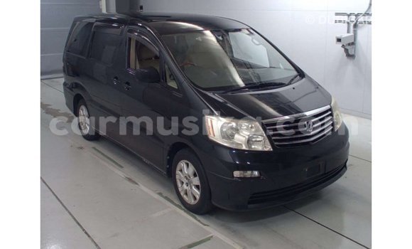 Tenga Imported Toyota Alphard Nhema Mota in Import - Dubai in Harare Tenga Imported Toyota Alphard Nhema Mota in Import - Dubai in Harare