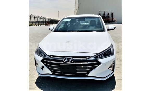 Buy Import Hyundai Elantra White Car in Import - Dubai in Harare