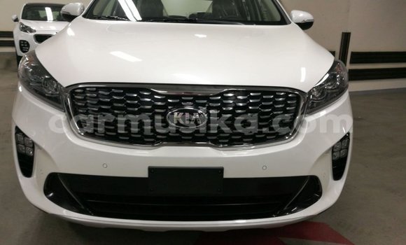 Acheter Import Voiture Kia Sorento Blanc à Import - Dubai, Harare