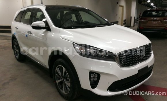 Acheter Import Voiture Kia Sorento Blanc à Import - Dubai, Harare Acheter Import Voiture Kia Sorento Blanc à Import - Dubai, Harare