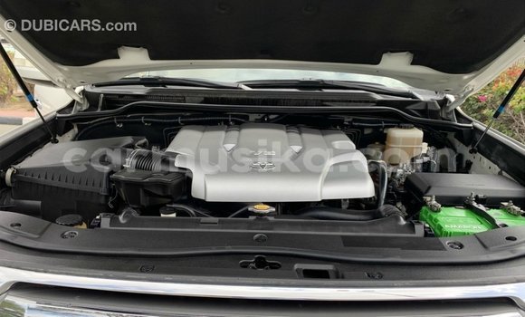 Buy Import Toyota Land Cruiser White Car in Import - Dubai in Harare Buy Import Toyota Land Cruiser White Car in Import - Dubai in Harare
