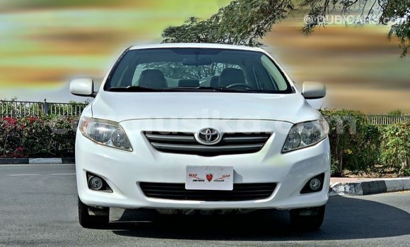 Buy Import Toyota Corolla White Car in Import - Dubai in Harare Buy Import Toyota Corolla White Car in Import - Dubai in Harare