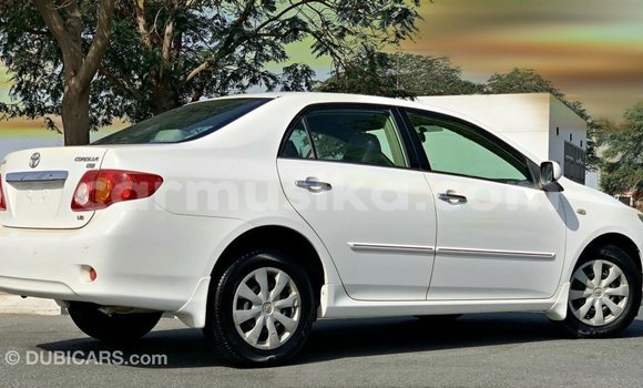 Buy Import Toyota Corolla White Car in Import - Dubai in Harare Buy Import Toyota Corolla White Car in Import - Dubai in Harare