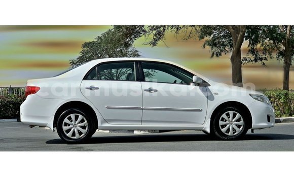 Buy Import Toyota Corolla White Car in Import - Dubai in Harare Buy Import Toyota Corolla White Car in Import - Dubai in Harare