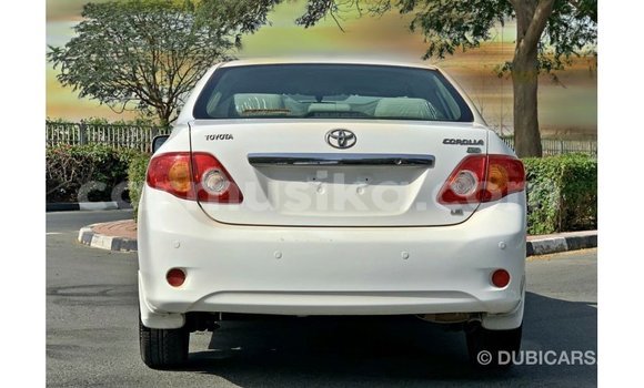 Buy Import Toyota Corolla White Car in Import - Dubai in Harare Buy Import Toyota Corolla White Car in Import - Dubai in Harare