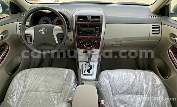 Buy Import Toyota Corolla White Car in Import - Dubai in Harare Buy Import Toyota Corolla White Car in Import - Dubai in Harare