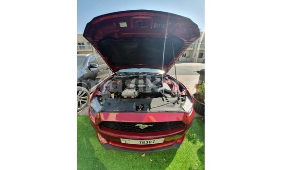 Buy Import Ford Mustang Red Car in Import - Dubai in Harare Buy Import Ford Mustang Red Car in Import - Dubai in Harare