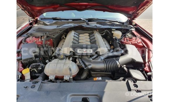 Buy Import Ford Mustang Red Car in Import - Dubai in Harare Buy Import Ford Mustang Red Car in Import - Dubai in Harare