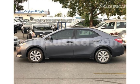 Buy Import Toyota Corolla Other Car in Import - Dubai in Harare Buy Import Toyota Corolla Other Car in Import - Dubai in Harare