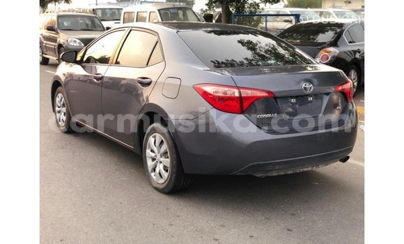 Buy Import Toyota Corolla Other Car in Import - Dubai in Harare Buy Import Toyota Corolla Other Car in Import - Dubai in Harare