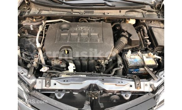 Buy Import Toyota Corolla Other Car in Import - Dubai in Harare Buy Import Toyota Corolla Other Car in Import - Dubai in Harare